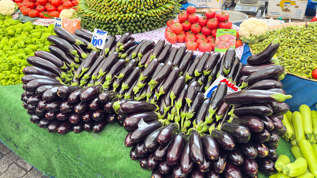 Баклажаны стоят 60 лир