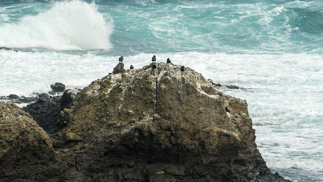 It was very windy here