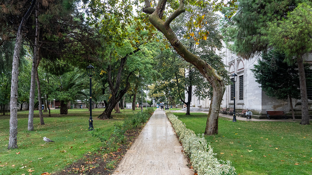 На территории