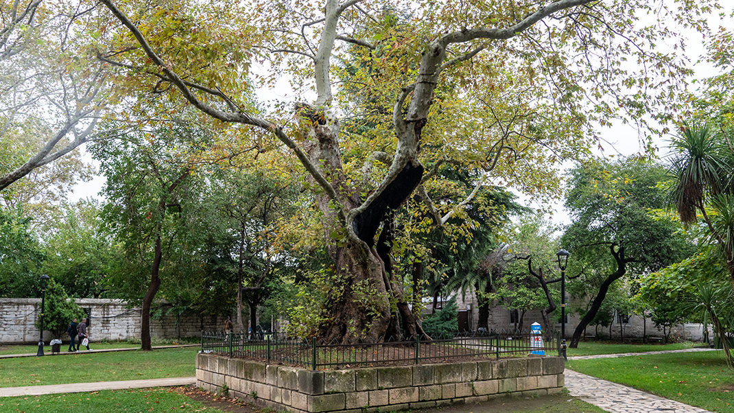 На территории комплекса