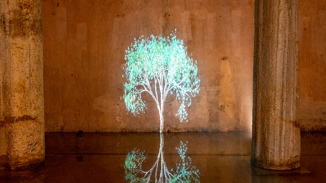 Tree projection