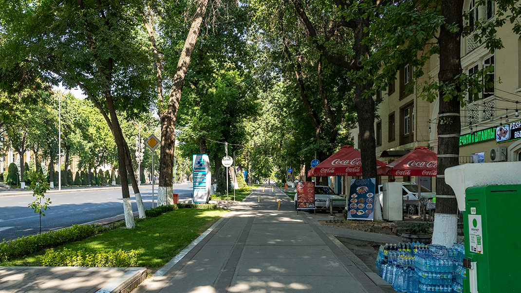Улица Алишера Навои