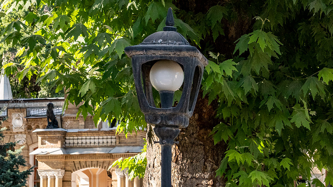 The lantern in the garden