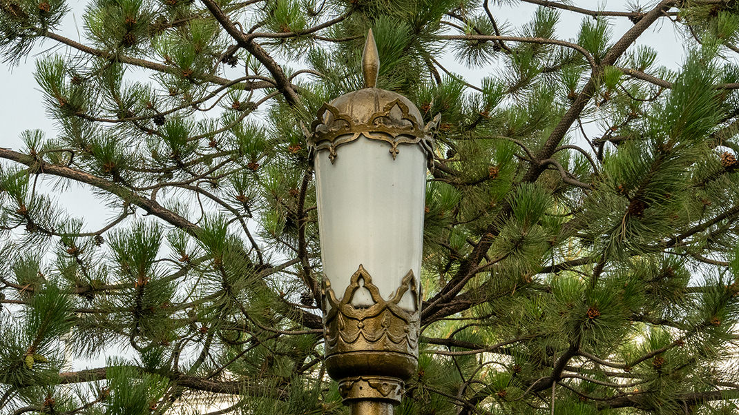 Lamppost in the square