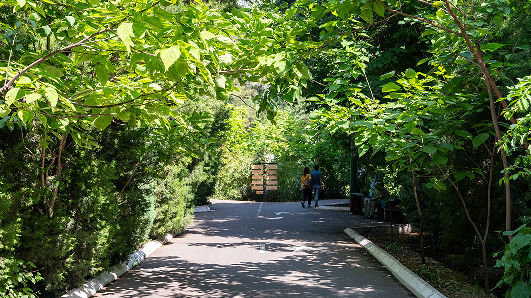 Botanical Garden in Tashkent