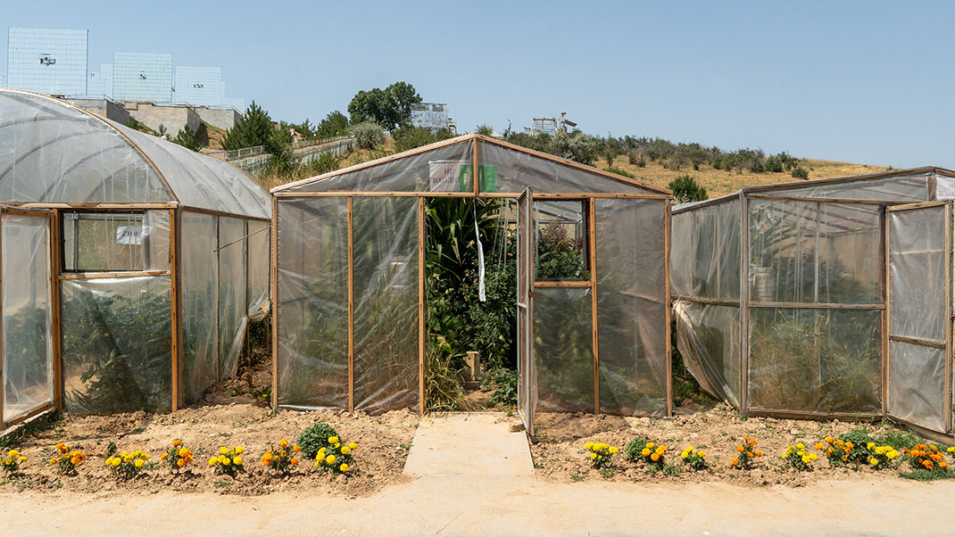 Greenhouses