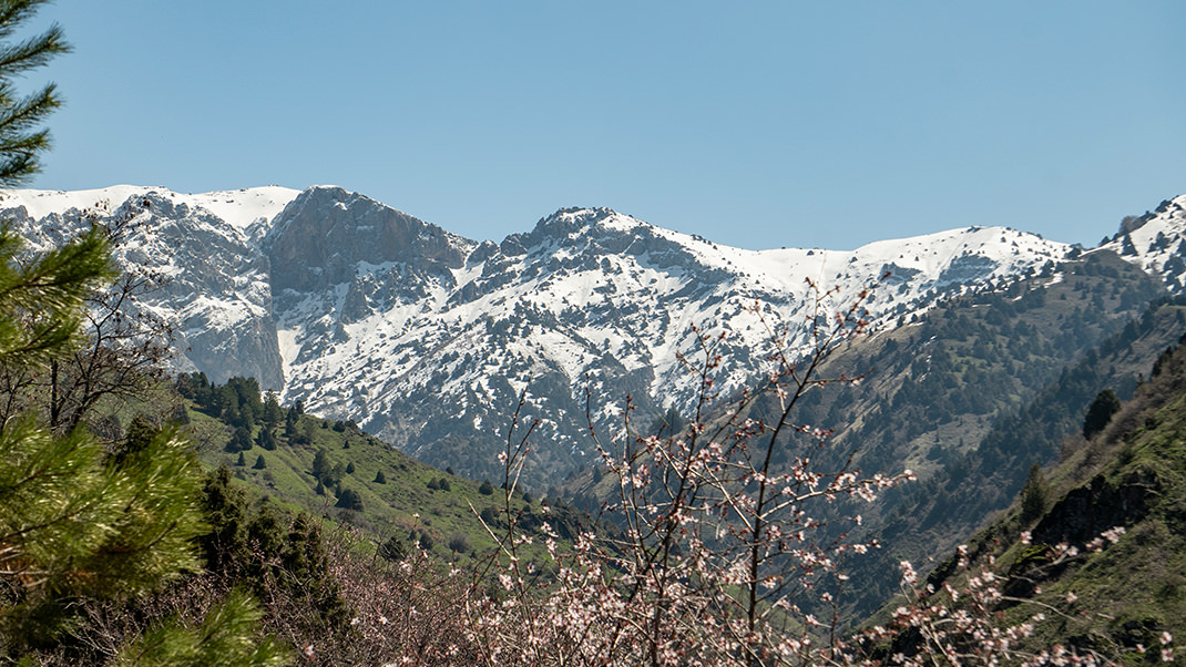 In the distance, snow-capped peaks are visible