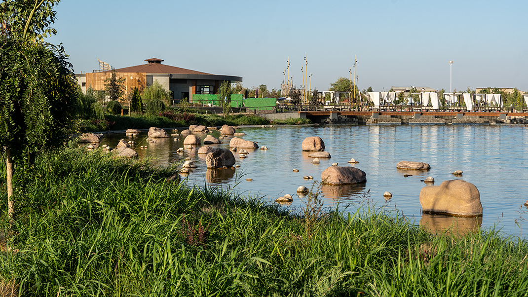 By the pond