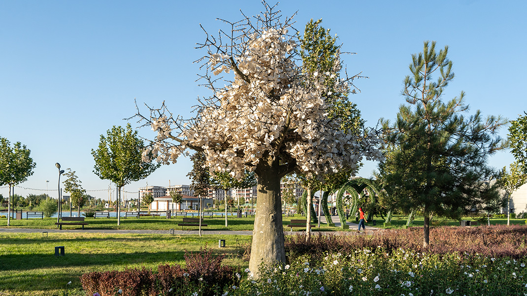 Entrance to the park is free