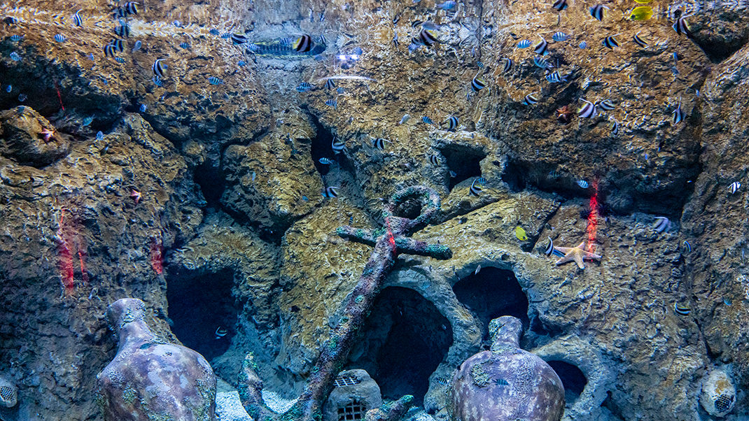 Magic Aquarium — один из самых удалённых от моря океанариумов