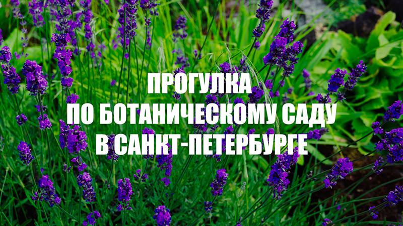 Без комментариев. Прогулка по Ботаническому саду в Санкт-Петербурге
