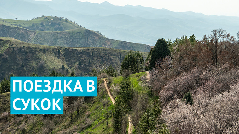 Горы, зелень, водопад: поездка в узбекский Сукок