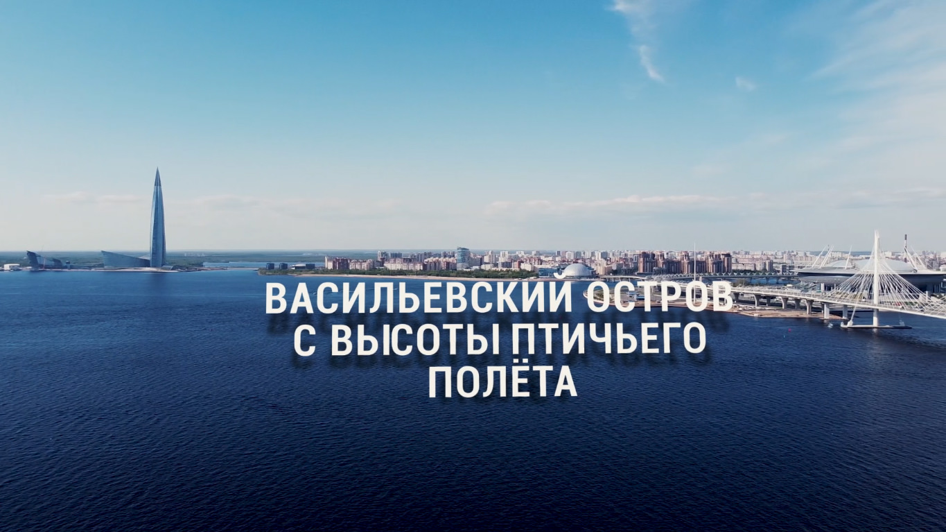 Васильевский остров с высоты птичьего полёта